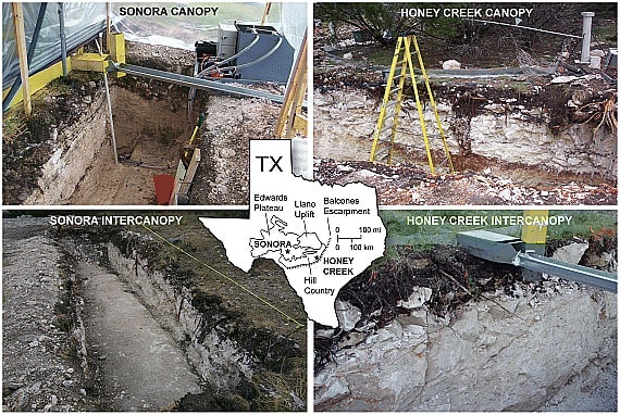 Wilcox, B. P., P. I. Taucer, C. L. Munster, M. K. Owens, B. P. Mohanty, J. R. Sorenson, and R. Bazan (2008), Subsurface stormflow is important in semiarid karst shrublands, Geophys. Res. Lett., 35, L10403, doi:10.1029/2008GL033696.